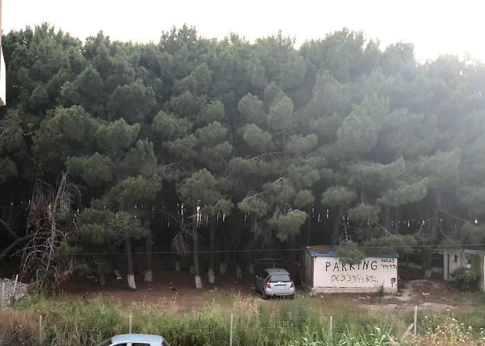 Dhoma Plazhi