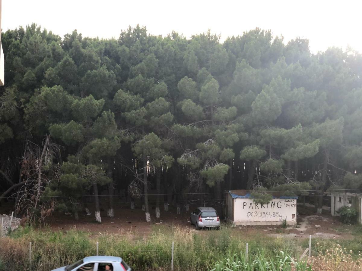 Dhoma Plazhi Pensjonat Spille